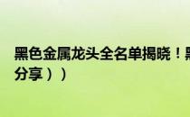 黑色金属龙头全名单揭晓！黑色金属概念股有哪些（（名单分享））