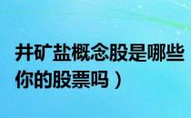 井矿盐概念股是哪些（井矿盐股票龙头一览有你的股票吗）