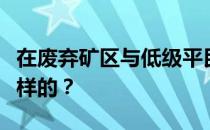 在废弃矿区与低级平民作战的阵容和风格是怎样的 