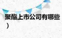 聚酯上市公司有哪些（相关上市公司龙头一览）