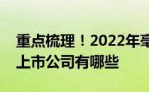 重点梳理！2022年毫米波天线概念主要利好上市公司有哪些