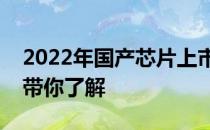 2022年国产芯片上市公司龙头一览表两分钟带你了解