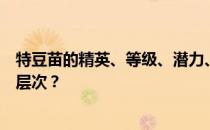 特豆苗的精英、等级、潜力、技能、信任度有哪些推荐培养层次 