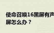 使命召唤16黑屏有声音——使命召唤剧场黑屏怎么办 