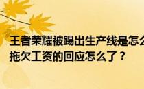 王者荣耀被踢出生产线是怎么回事 ——王者荣耀KPL对TS拖欠工资的回应怎么了 