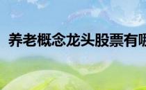 养老概念龙头股票有哪些（（2022年版））