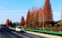 黄山区到祁门高速公路什么时候建