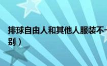 排球自由人和其他人服装不一样（排球自由人和其他人的区别）