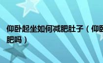 仰卧起坐如何减肥肚子（仰卧起坐能减肚子吗 仰卧起坐能减肥吗）