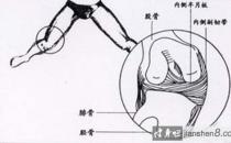 蛙泳膝盖痛蛙泳膝盖痛怎么了