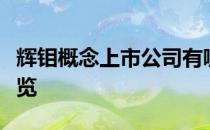 辉钼概念上市公司有哪些辉钼上市公司股票一览