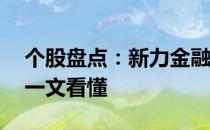 个股盘点：新力金融股票3个月上龙虎榜6次一文看懂