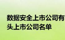 数据安全上市公司有哪些2021年数据安全龙头上市公司名单