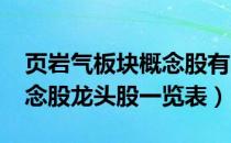 页岩气板块概念股有哪些（2022年页岩气概念股龙头股一览表）