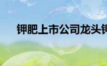 钾肥上市公司龙头钾肥上市公司有哪些