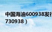 中国海油600938发行价（中国海油申购代码730938）