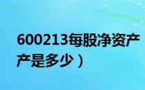 600213每股净资产（亚星客车600213净资产是多少）