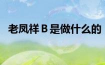 老凤祥Ｂ是做什么的（其主营业务是什么）