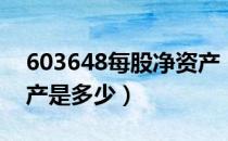 603648每股净资产（畅联股份603648净资产是多少）