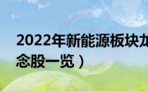 2022年新能源板块龙头股有哪些（新能源概念股一览）