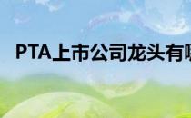 PTA上市公司龙头有哪些（（名单一览））