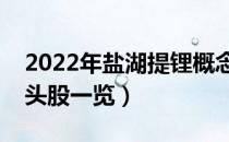 2022年盐湖提锂概念股有那些（盐湖提锂龙头股一览）