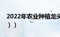 2022年农业种植龙头股有哪些（（新鲜出炉））