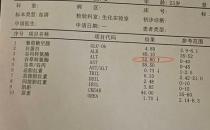 谷丙转氨酶高怎么回事？