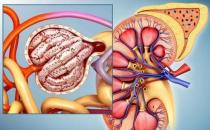 怎么判断肾脏病了(可以通过尿液的变化)