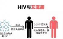 艾滋病的潜伏期时间有多长（2-15年）