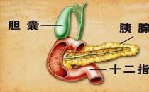 ​急性胰腺炎应该如何应对（一般治疗和药物治疗）