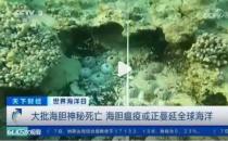 大批海胆神秘死亡！海胆瘟疫或正蔓延全球海洋