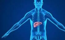 肝不好 肠胃消化系统会发出哪些信号（）